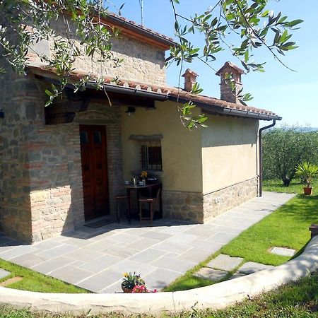 Selva Degli Ulivi ξενώνας Foiano Della Chiana Εξωτερικό φωτογραφία