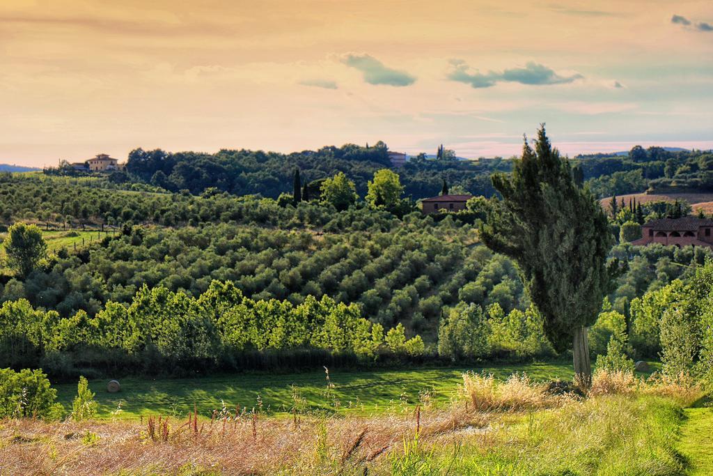 Selva Degli Ulivi ξενώνας Foiano Della Chiana Εξωτερικό φωτογραφία
